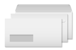 Digital Window Envelopes #10 (2500)